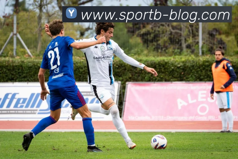 B体育APP 封面图